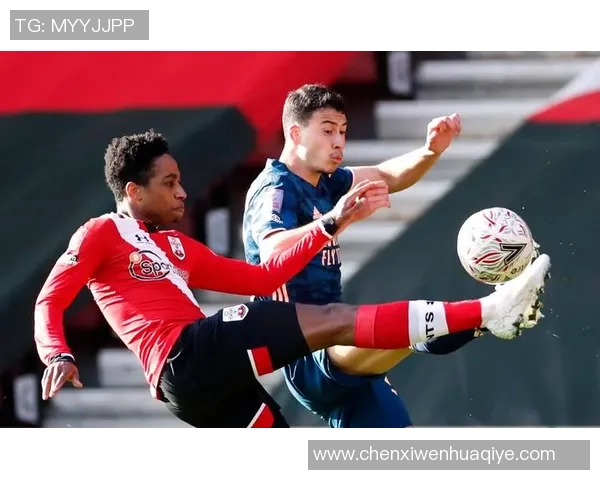 乌迪内斯与佛罗伦萨历史交锋记录分析及战绩回顾 乌迪内斯与佛罗伦萨历史交锋记录分析及战绩回顾