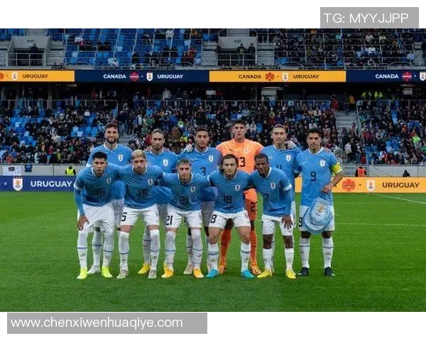 2010年世界杯加纳与乌拉圭对决阵容分析及比赛回顾