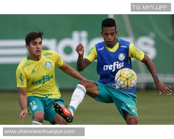 2018年巴甲精彩对决华斯高迎战沙佩科恩斯全场回顾与精彩瞬间分析