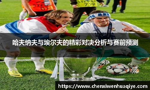 哈夫纳夫与埃尔夫的精彩对决分析与赛前预测